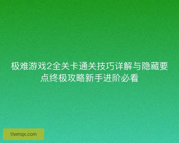 极难游戏2全关卡通关技巧详解与隐藏要点终极攻略新手进阶必看