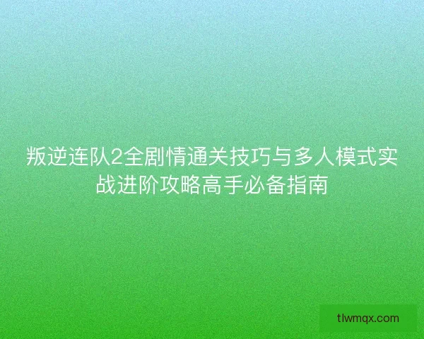 叛逆连队2全剧情通关技巧与多人模式实战进阶攻略高手必备指南
