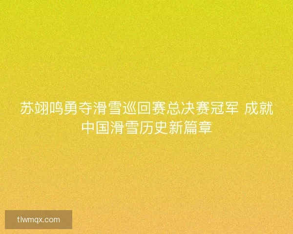 苏翊鸣勇夺滑雪巡回赛总决赛冠军 成就中国滑雪历史新篇章