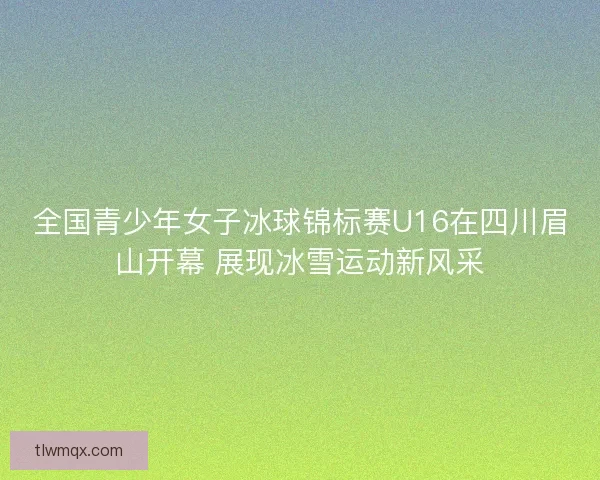 全国青少年女子冰球锦标赛U16在四川眉山开幕 展现冰雪运动新风采