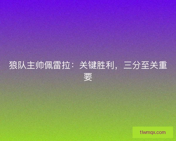 狼队主帅佩雷拉：关键胜利，三分至关重要
