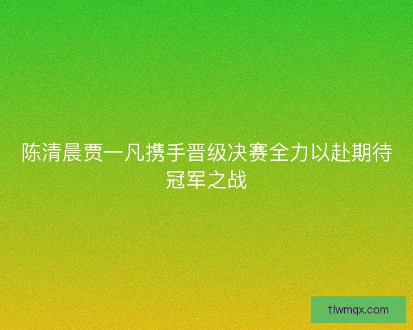 陈清晨贾一凡携手晋级决赛全力以赴期待冠军之战