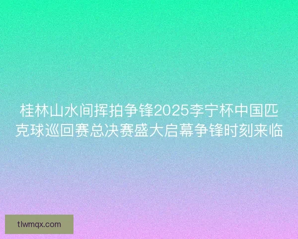 桂林山水间挥拍争锋2025李宁杯中国匹克球巡回赛总决赛盛大启幕争锋时刻来临