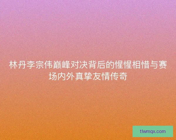 林丹李宗伟巅峰对决背后的惺惺相惜与赛场内外真挚友情传奇