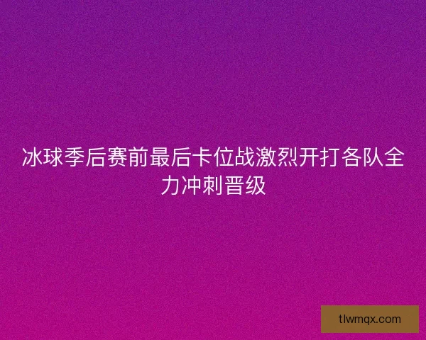 冰球季后赛前最后卡位战激烈开打各队全力冲刺晋级